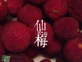仙居楊梅多少錢(qián)一斤？仙居楊梅多少錢(qián)一斤2017？