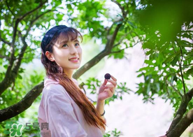仙居楊梅在哪里？仙居楊梅哪里最好？