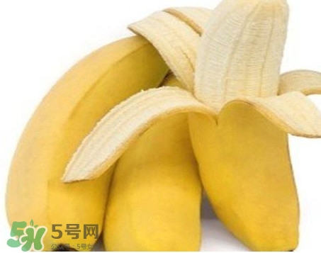 皇帝蕉多少錢一斤？2017皇帝蕉價格