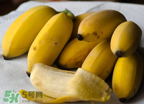 皇帝蕉是不是香蕉？皇帝蕉與普通香蕉區(qū)別