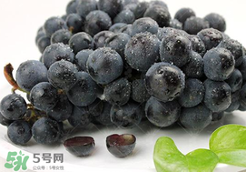 無籽葡萄有哪些品種？無籽葡萄多少錢一斤？