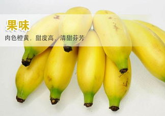 皇帝蕉多少錢一斤？2017皇帝蕉價(jià)格