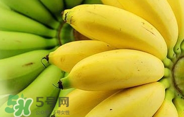 帝王蕉多少錢一斤？帝王蕉是轉(zhuǎn)基因香蕉嗎