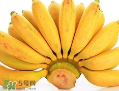 皇帝蕉是不是香蕉？皇帝蕉與普通香蕉區(qū)別