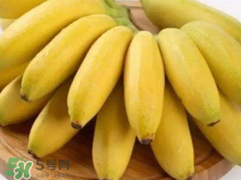 帝王蕉多少錢一斤？帝王蕉是轉(zhuǎn)基因香蕉嗎