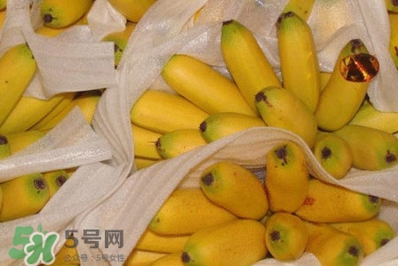 皇帝蕉是不是香蕉？皇帝蕉與普通香蕉區(qū)別