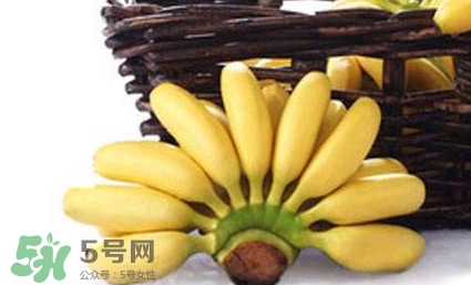 帝王蕉是芭蕉嗎？帝王蕉和芭蕉的區(qū)別