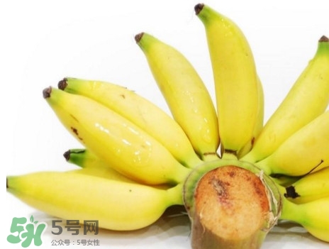 皇帝蕉有什么好處？皇帝蕉的功效與作用