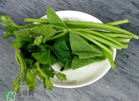 南瓜葉怎么處理？南瓜葉怎么炒？