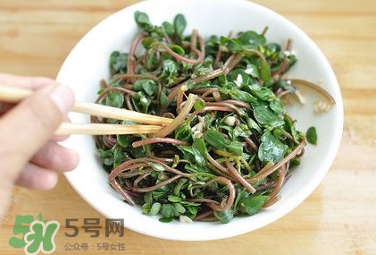 螞蚱菜怎么吃？螞蚱菜怎么做好吃