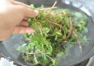 螞蚱菜能生吃嗎？螞蚱菜可以生吃嗎