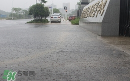 入梅的標(biāo)準(zhǔn)是什么？2017江蘇入梅時間