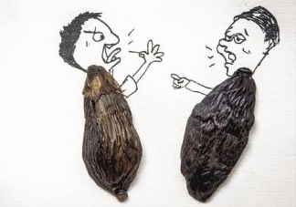 口味王檳榔是什么東西？口味王檳榔怎么吃
