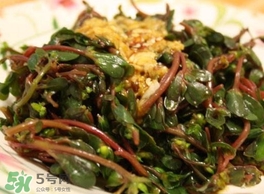 螞蚱菜怎么炒好吃？螞蚱菜做法有哪幾種