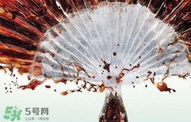 運(yùn)動(dòng)后可以喝可樂嗎？運(yùn)動(dòng)后喝可樂會(huì)胖嗎？