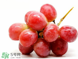紅提可以放冰箱嗎？紅提放冷庫怎么保存？