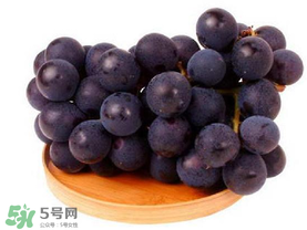 巨峰葡萄幾月份成熟？巨峰葡萄什么時(shí)候成熟？