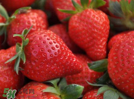 七月份有草莓嗎？7月份有草莓嗎？