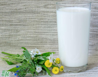 脫脂奶粉哪個(gè)牌子好？脫脂奶粉什么品牌的好？