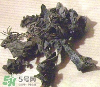 昆布與海帶有什么不同？昆布和海帶的區(qū)別