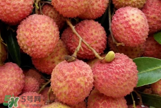 從化荔枝品種有哪些？從化哪里可以摘荔枝