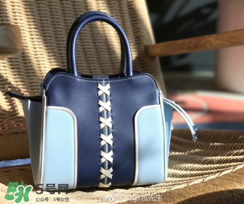 tod's與包先生聯(lián)名合作款折耳包包尺寸多大？