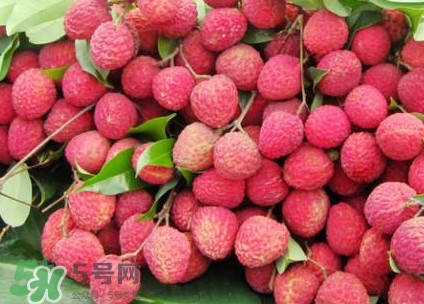 增城荔枝節(jié)是什么時候？2017年增城荔枝節(jié)時間