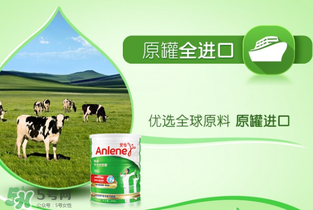 Anlene安怡奶粉怎么樣？Anlene安怡奶粉好不好？