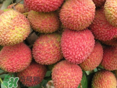 增城和從化荔枝哪個(gè)出名？哪種荔枝最有名