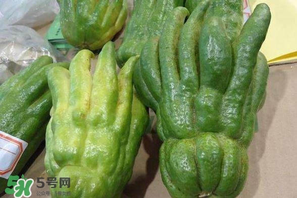 佛手與佛手瓜有什么區(qū)別？佛手與佛手鉗有什么區(qū)別