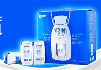 純甄酸奶過期還能喝嗎？純甄酸奶過期一點(diǎn)點(diǎn)要緊嗎？