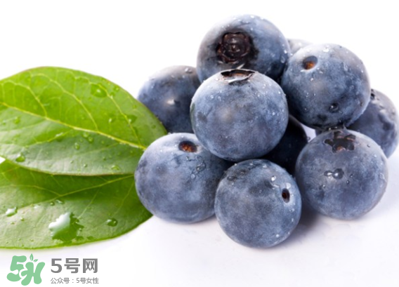 藍(lán)莓是什么顏色？藍(lán)莓泡水什么顏色？