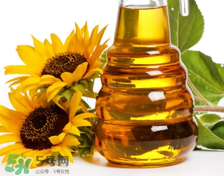 食用油種類(lèi)有哪些？食用油哪個(gè)牌子好