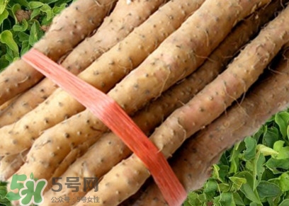 懷山藥可以生吃嗎？懷山藥怎么吃最好