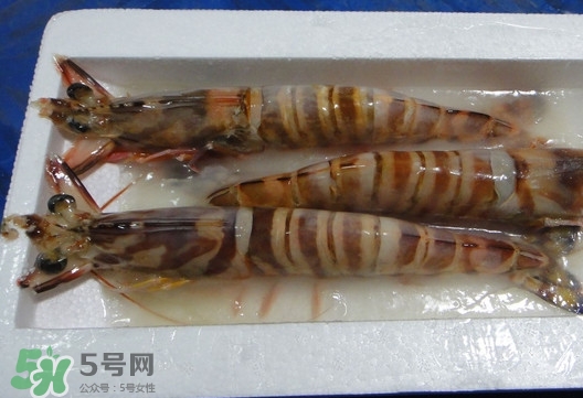 竹節(jié)蝦該怎么吃？竹節(jié)蝦怎么處理干凈