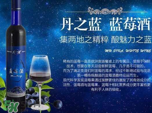 藍莓酒多少錢一瓶？藍莓王酒多少錢一瓶？