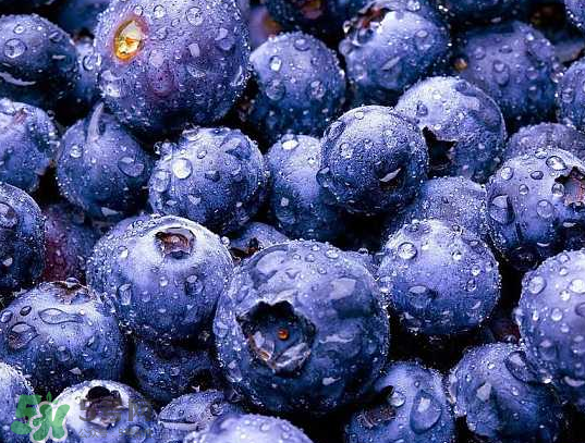 藍(lán)莓和橙子能一起吃嗎？藍(lán)莓和橙子一起吃好嗎？