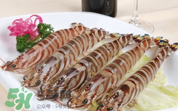 九節(jié)蝦多少錢一斤？九節(jié)蝦跟基圍蝦是一個品種嗎