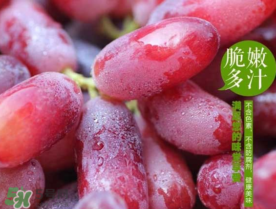無籽紅提有涂避孕藥嗎？無籽紅提是轉(zhuǎn)基因嗎？