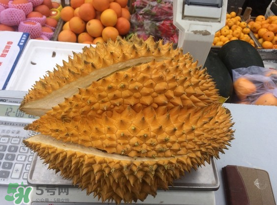 托曼尼榴蓮怎么才是熟？托曼尼榴蓮怎么看生熟？