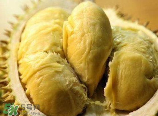 托曼尼榴蓮多少錢？托曼尼榴蓮是哪里的？