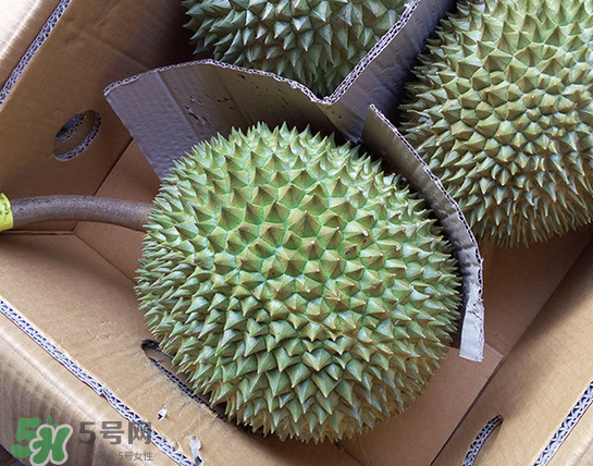 干堯榴蓮怎么樣算熟了？干堯榴蓮怎么挑選？