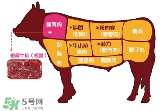 牛排是牛的哪個部位？牛排是牛身上哪塊肉？