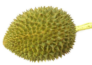 托曼尼榴蓮多少錢？托曼尼榴蓮是哪里的？
