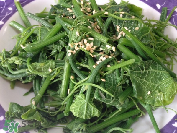 龍須菜怎么清洗？龍須菜怎么處理？