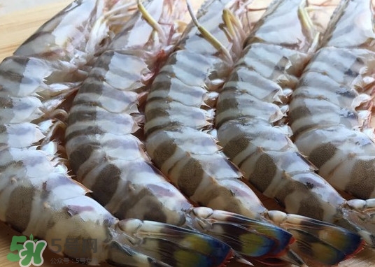 竹節(jié)蝦該怎么吃？竹節(jié)蝦怎么處理干凈