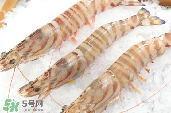 竹節(jié)蝦是海里的嗎？竹節(jié)蝦是海蝦還是河蝦