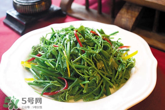 龍須菜是什么菜？龍須菜怎么吃？