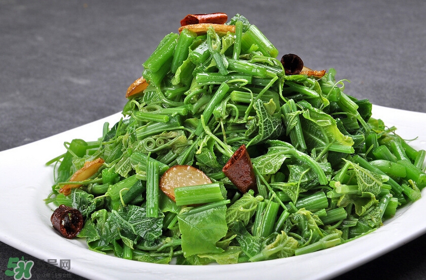 龍須菜怎么清洗？龍須菜怎么處理？