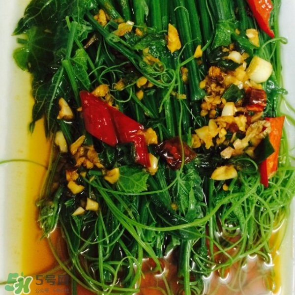 龍須菜怎么清洗？龍須菜怎么處理？